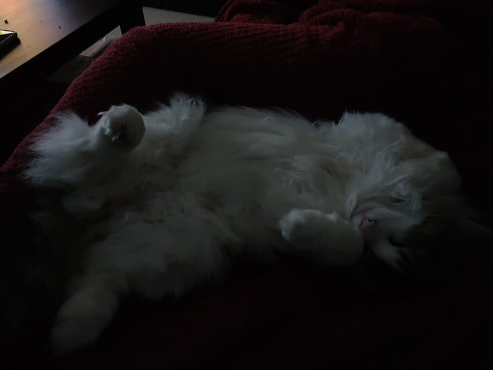 revision red magic 3 review camera samples 30629 720x720