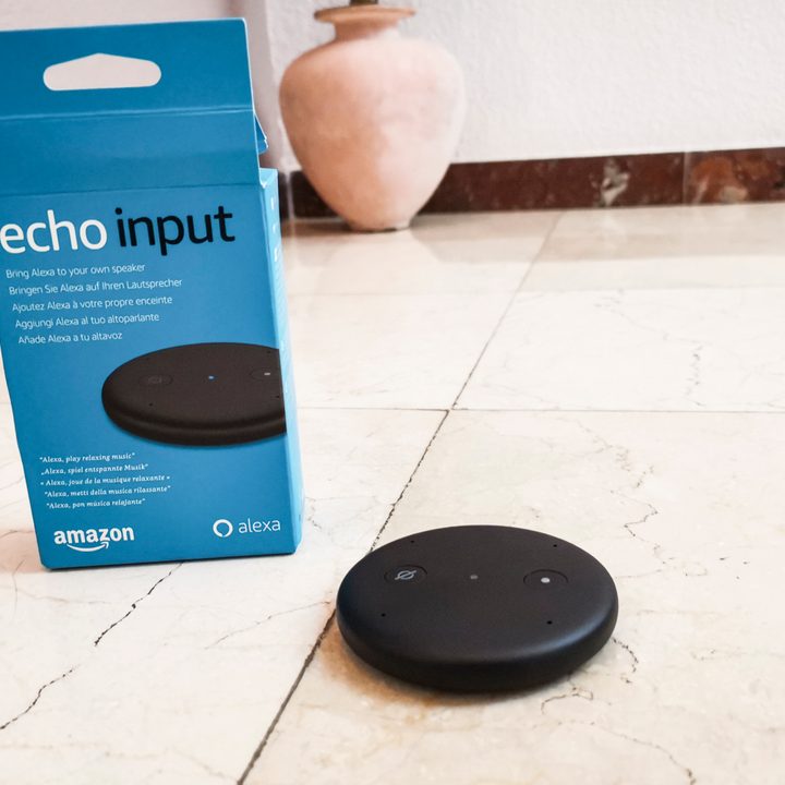 amazon echo input