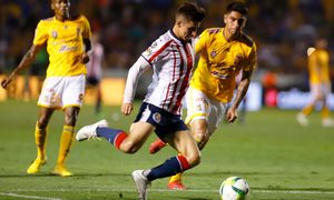 partido chivas vs tigres youtube uanl v  torneo clausura 2019 liga mx