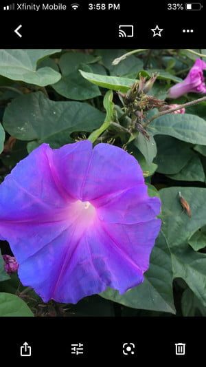 copia de seguridad en google fotos image edit1 300x533