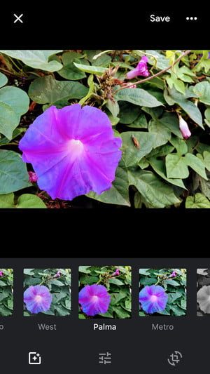 copia de seguridad en google fotos image edit2 300x533