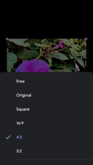 copia de seguridad en google fotos image edit4 300x533