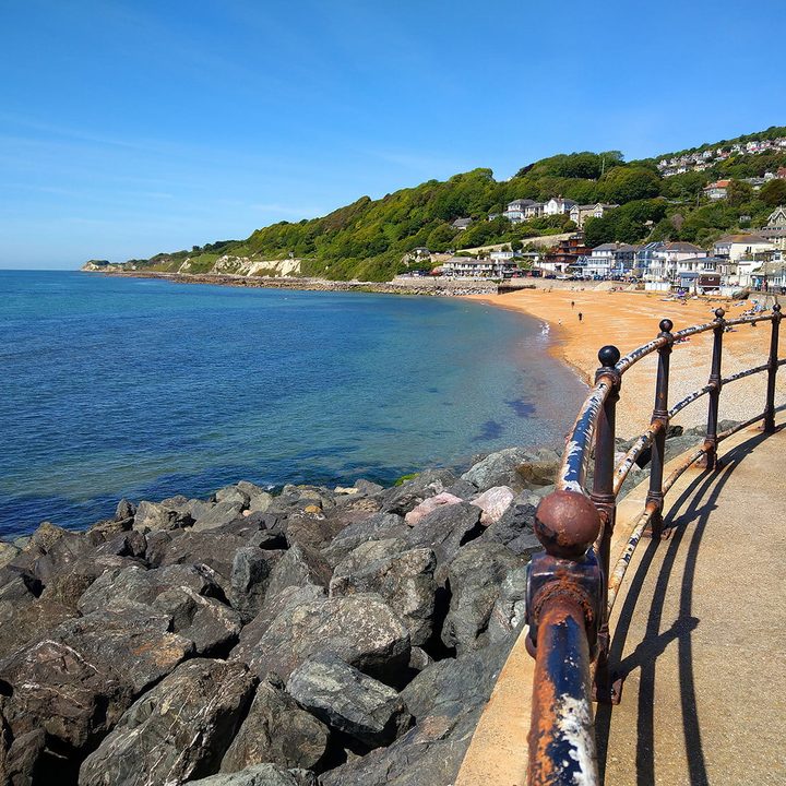 teléfonos baratos con buenas cámaras