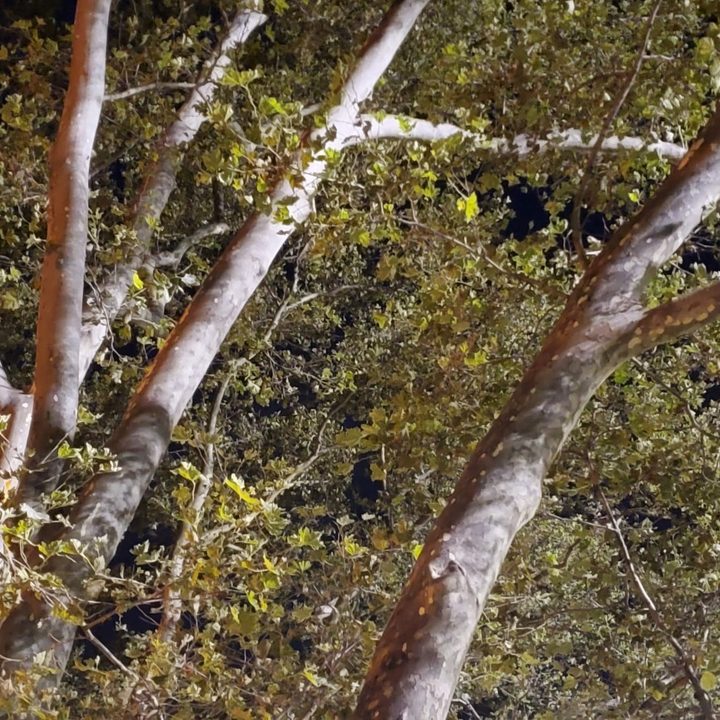 revision samsung galaxy note 10 plus s10 telephoto