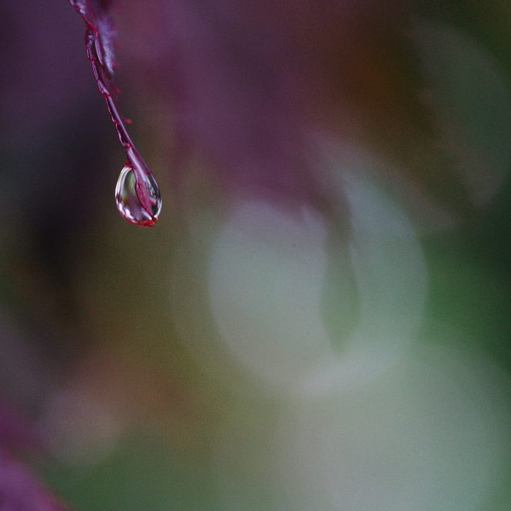 prioridad a la apertura