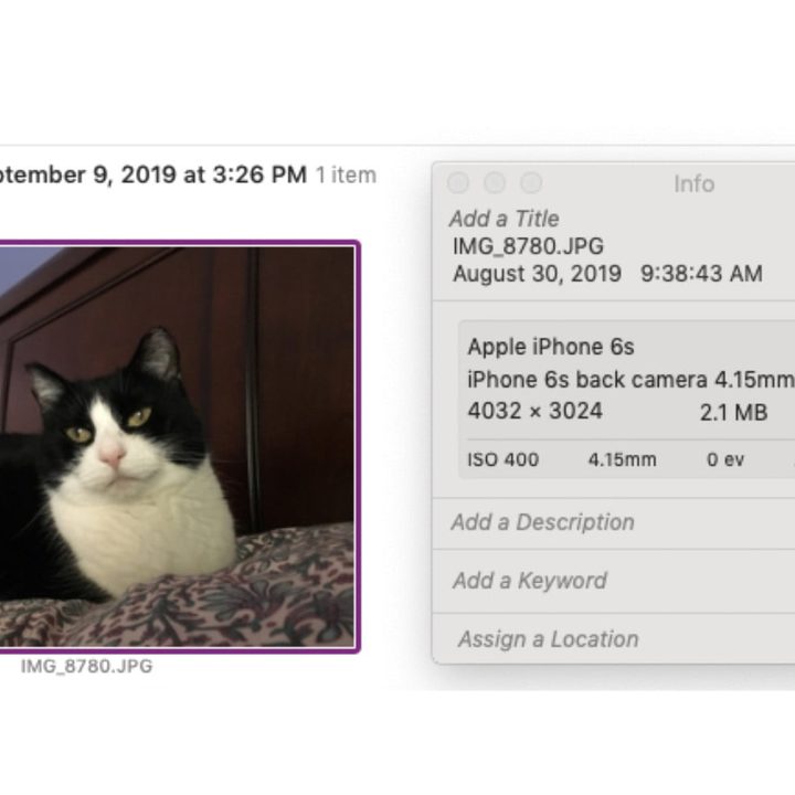 Metadatos en una fotografía