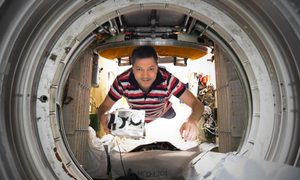 carne artificial impresora 3d cosmonaut oleg kononenko board international space station during first experiment bioprinter d