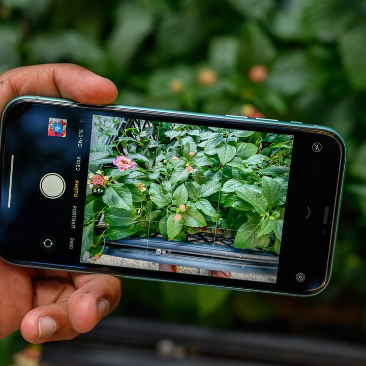 OnePlus 7T vs. iPhone 11