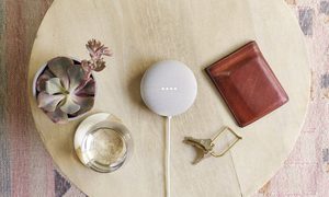 Google Nest Mini vs. Google Home Mini