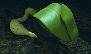 proyecto change 4 plantas en la luna planta