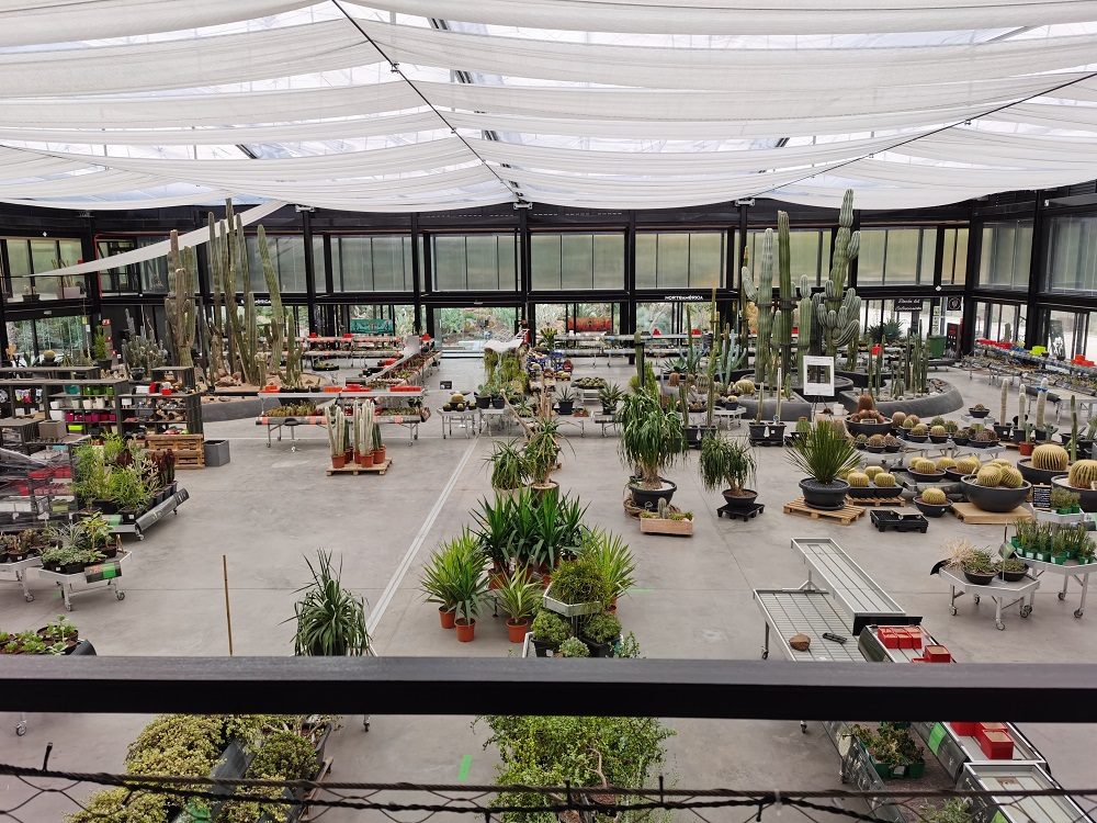 revision mate 30 pro foto huawei 10