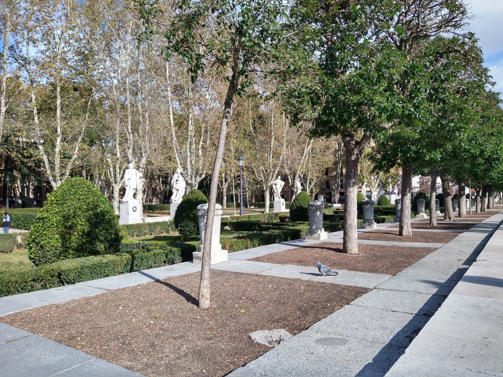 revision moto g8 plus camara 11