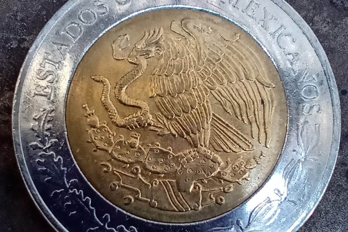 revision motorola one macro  6