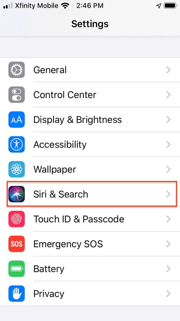servidores de apple sirisearch1 610x1083