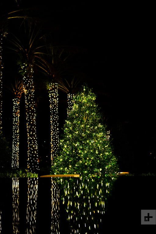 Cómo tomar fotos de luces navideñas