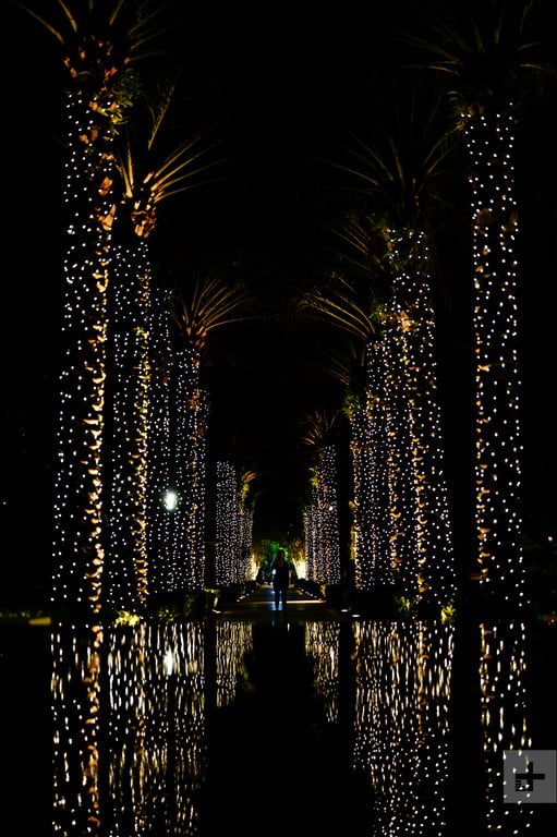 Cómo tomar fotos de luces navideñas