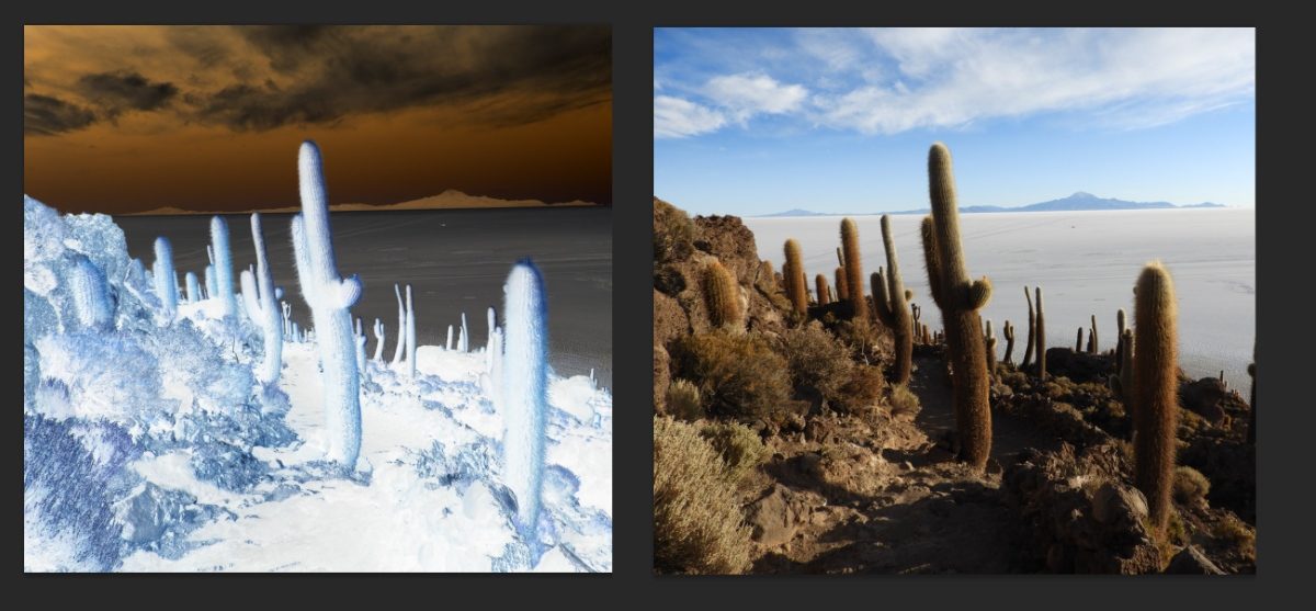 Negativo de cámara estenopeica