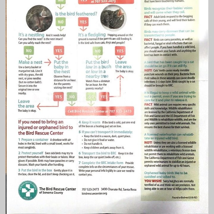 Escaneando desde el iPhone