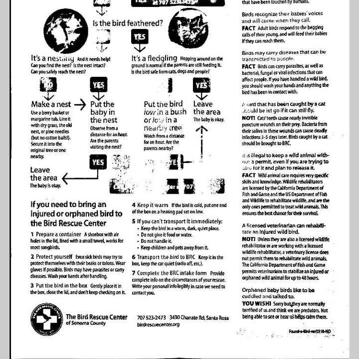 Escaneando desde Notas