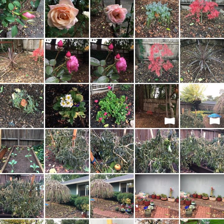 Galería de imágenes del iPhone