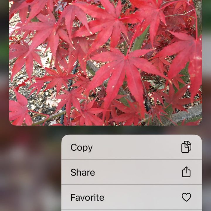Ventana emergente para borrar fotos de iPhone