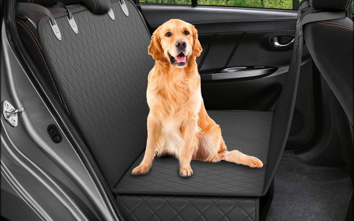 Perro sobre un tapete especial para proteger los asientos del auto