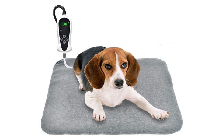 Perro sobre almohadilla de calentamiento