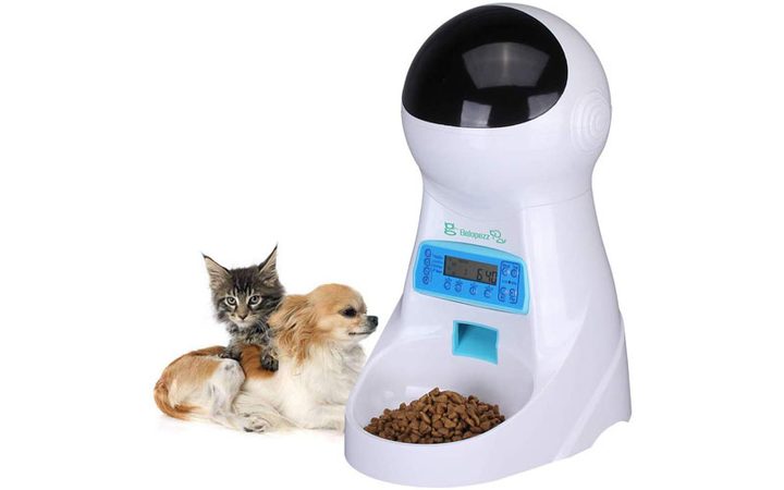 Alimentador de mascotas automático