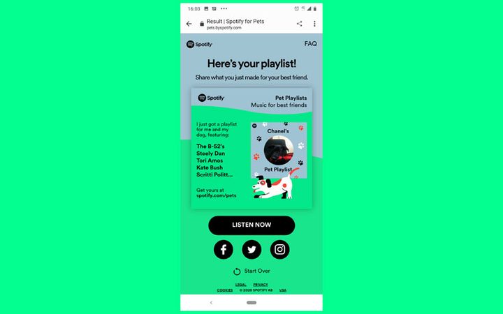 Interfaz de herramienta que permite crear listas de reproducción para mascotas en Spotify