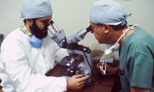 Científicos revisando bacterias