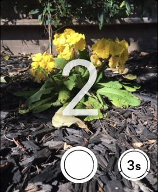 usar tu apple watch 06 watchpic7 610x742