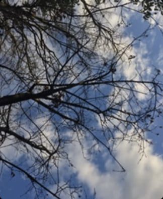 diferentes fotos al usar tu Apple Watch