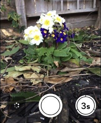 como ver fotos al usar tu Apple Watch