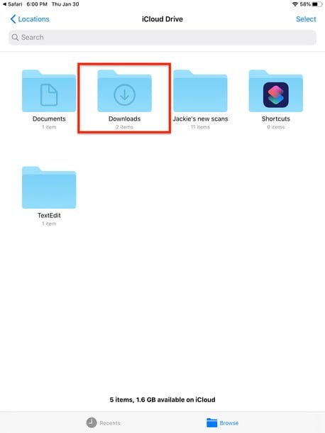 Administrador de descargas en Safari en iPadOS 13