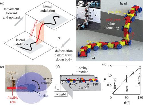 Diseño serpiente robot Johns Hopkins
