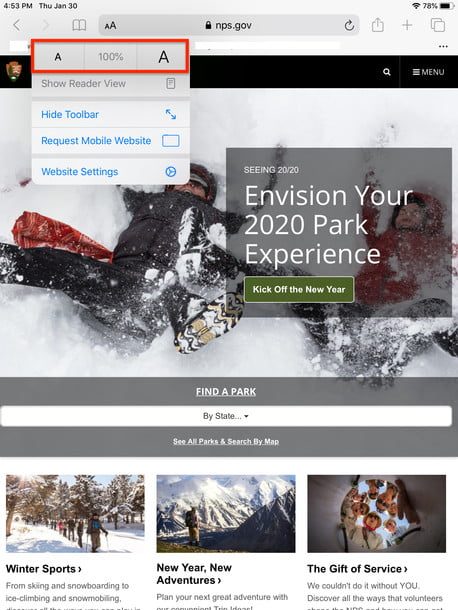 Menú de visualización de Safari en iPadOS 13