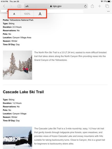 Menú de visualización de Safari en iPadOS 13