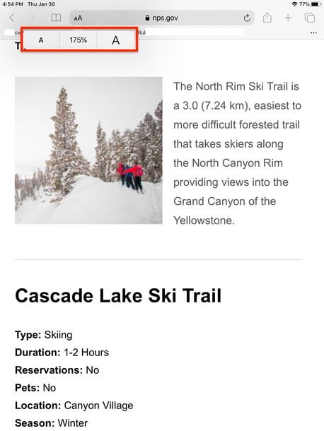 Menú de visualización de Safari en iPadOS 13