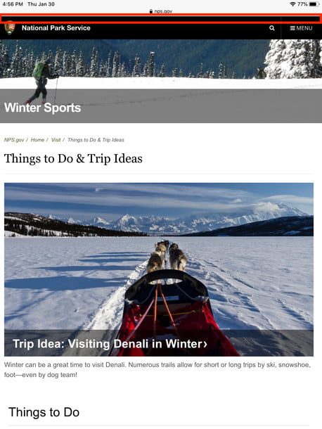 Menú de visualización de Safari en iPadOS 13
