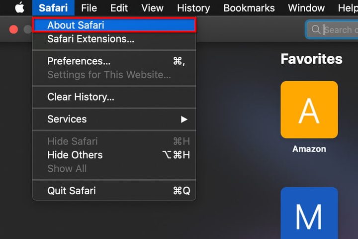 Pantalla de configuración de Safari de Apple para conocer la versión de mi navegador