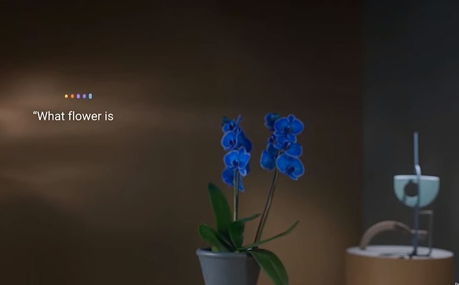 asistente inteligente Celia de Huawei preguntando cual es esa flor