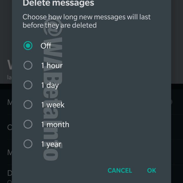 Whatsapp autodestrucción mensajes