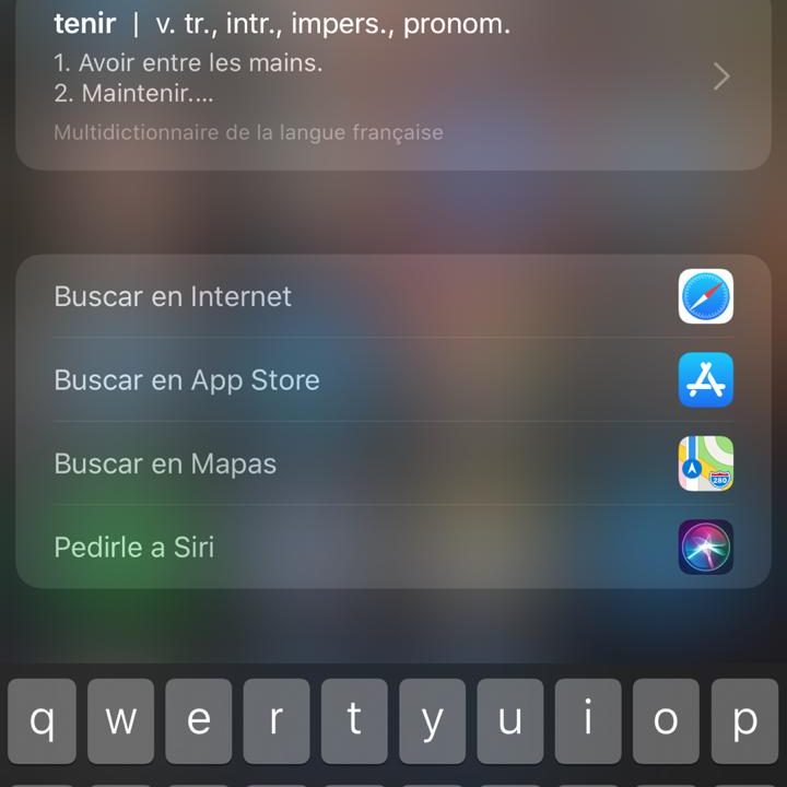 Pantalla de busqueda en Diccionaros de iPhone
