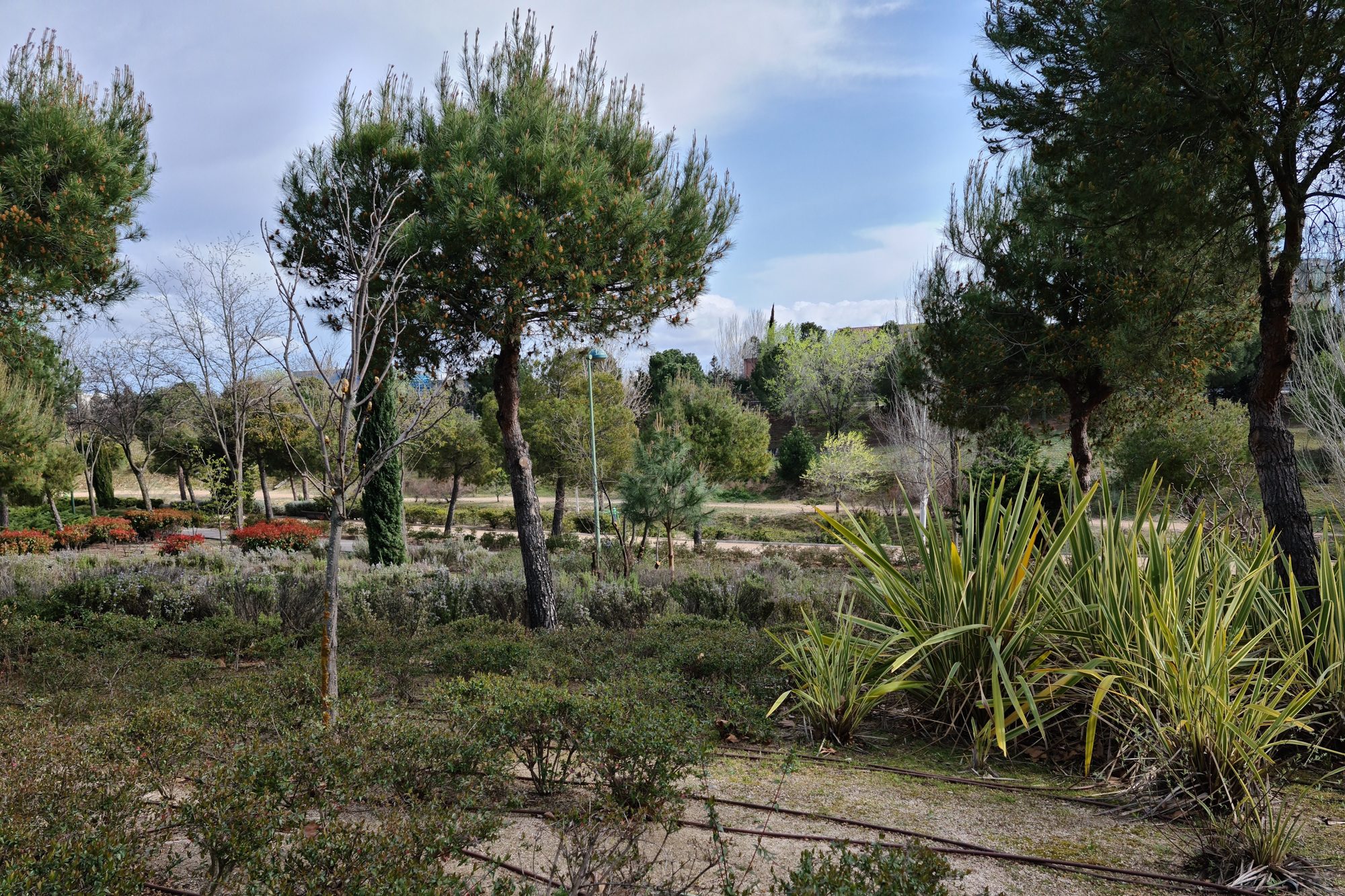 foto galaxy s20 plus