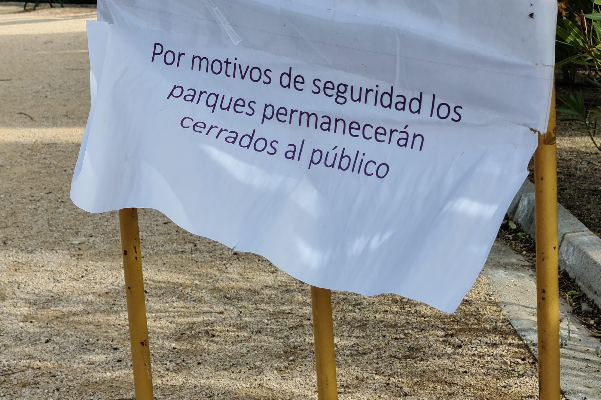 foto galaxy s20 plus