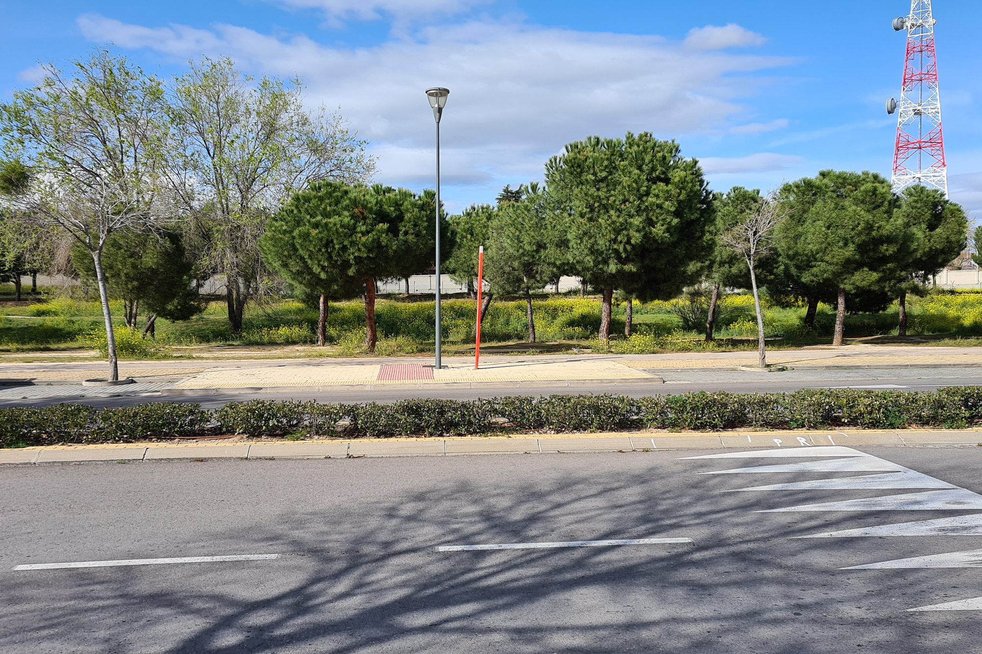 foto galaxy s20 plus