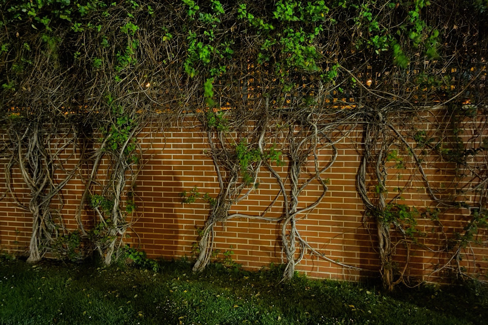 foto galaxy s20 plus modo noche