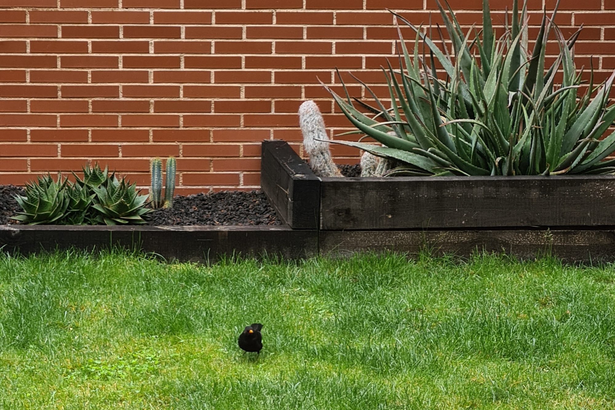 foto galaxy s20 plus no zoom