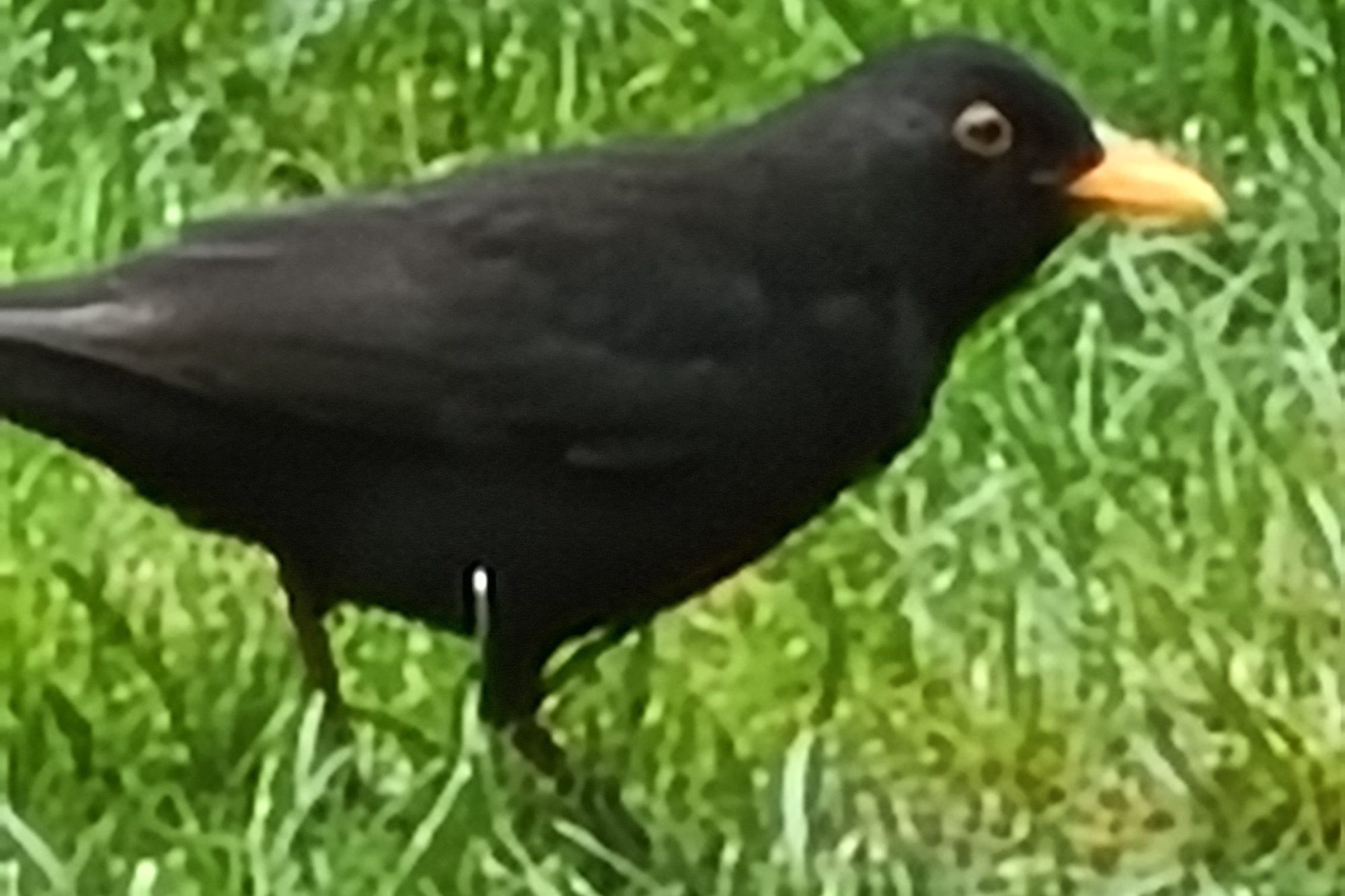 foto galaxy s20 plus zoom 10x