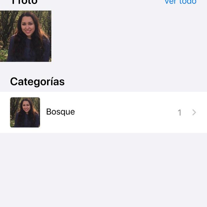 Para buscar palabras de diferentes idiomas, ve a Configuración> General> Diccionario, luego toca un diccionario para descargarlo. Ahora puedes encontrar la definición de una palabra simplemente haciendo clic en cualquier parte de la pantalla de inicio y deslizando hacia abajo e ingresando la palabra.